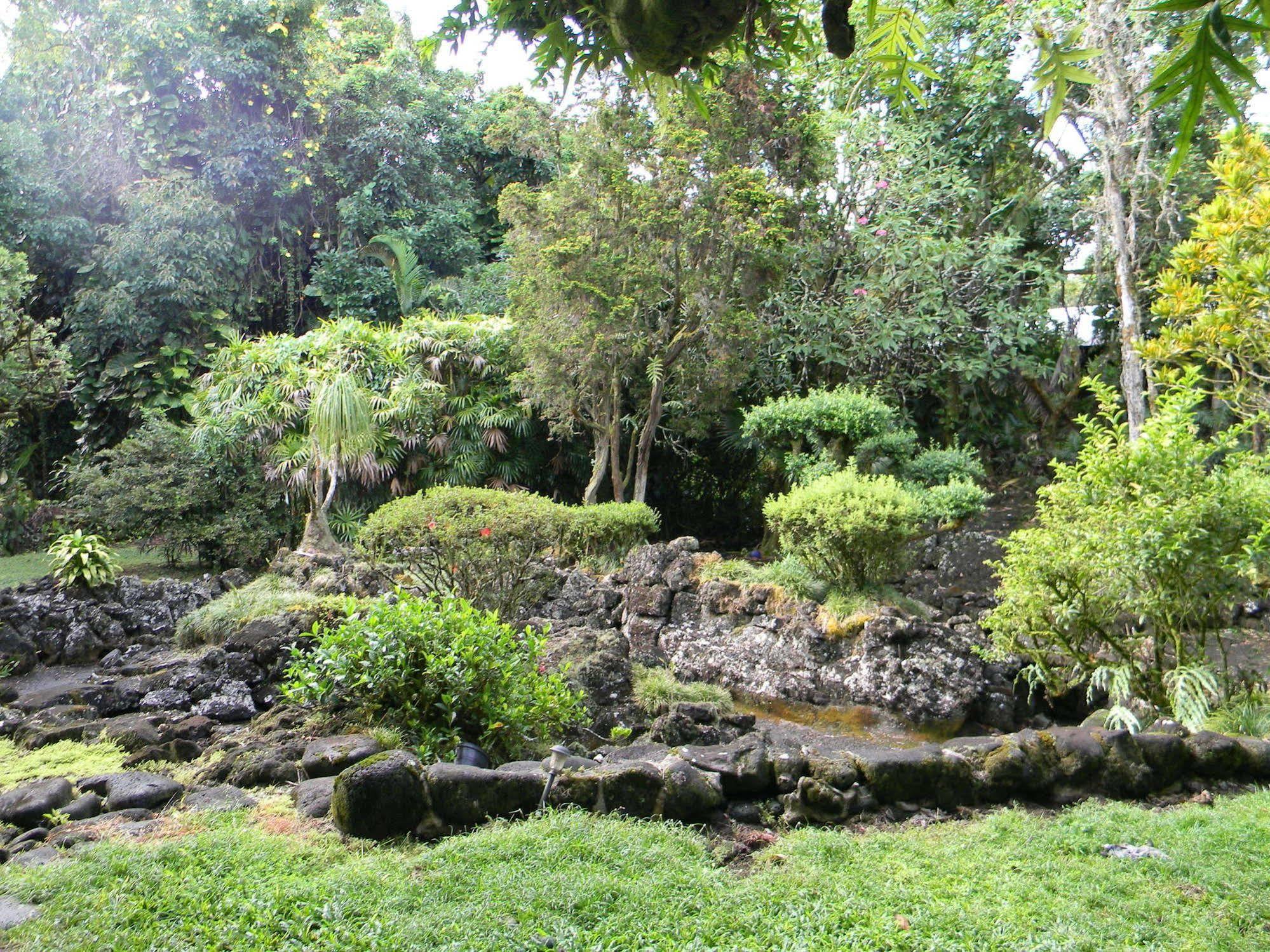 Maureen'S Bed And Breakfast Hilo Exterior photo
